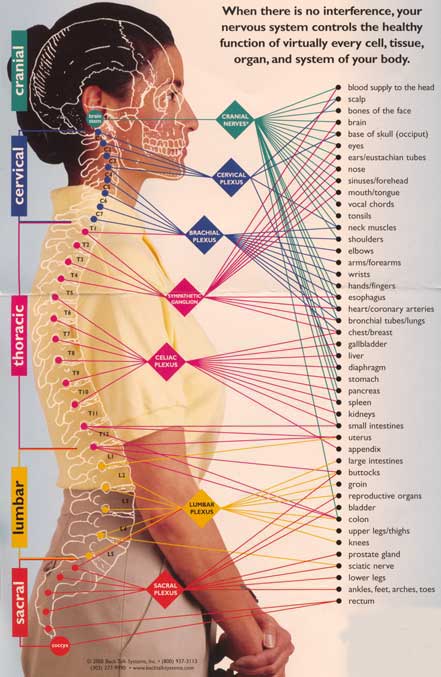 Subluxation Chart